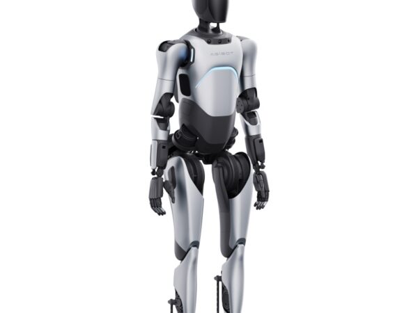 Humanoid Robots