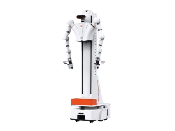 Dual-Arm Robot