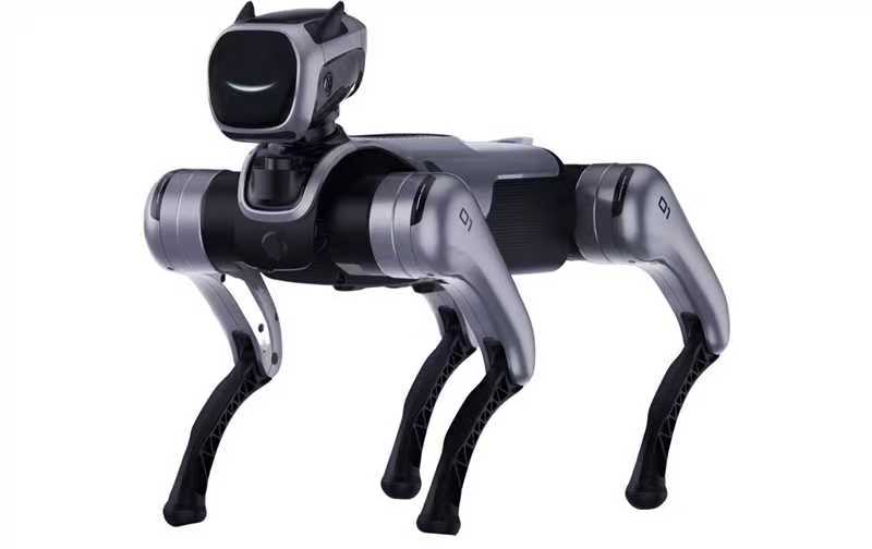 Robot Dog